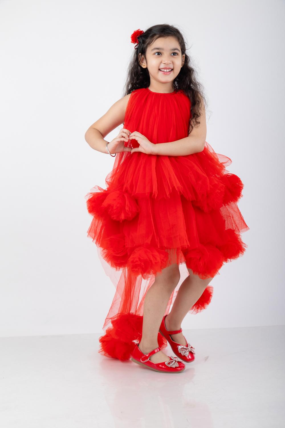 Victorian Style Dress With Net Flower Detailing