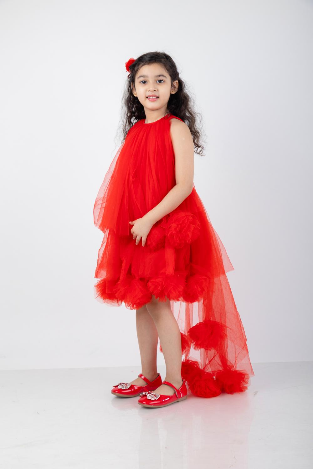 Victorian Style Dress With Net Flower Detailing