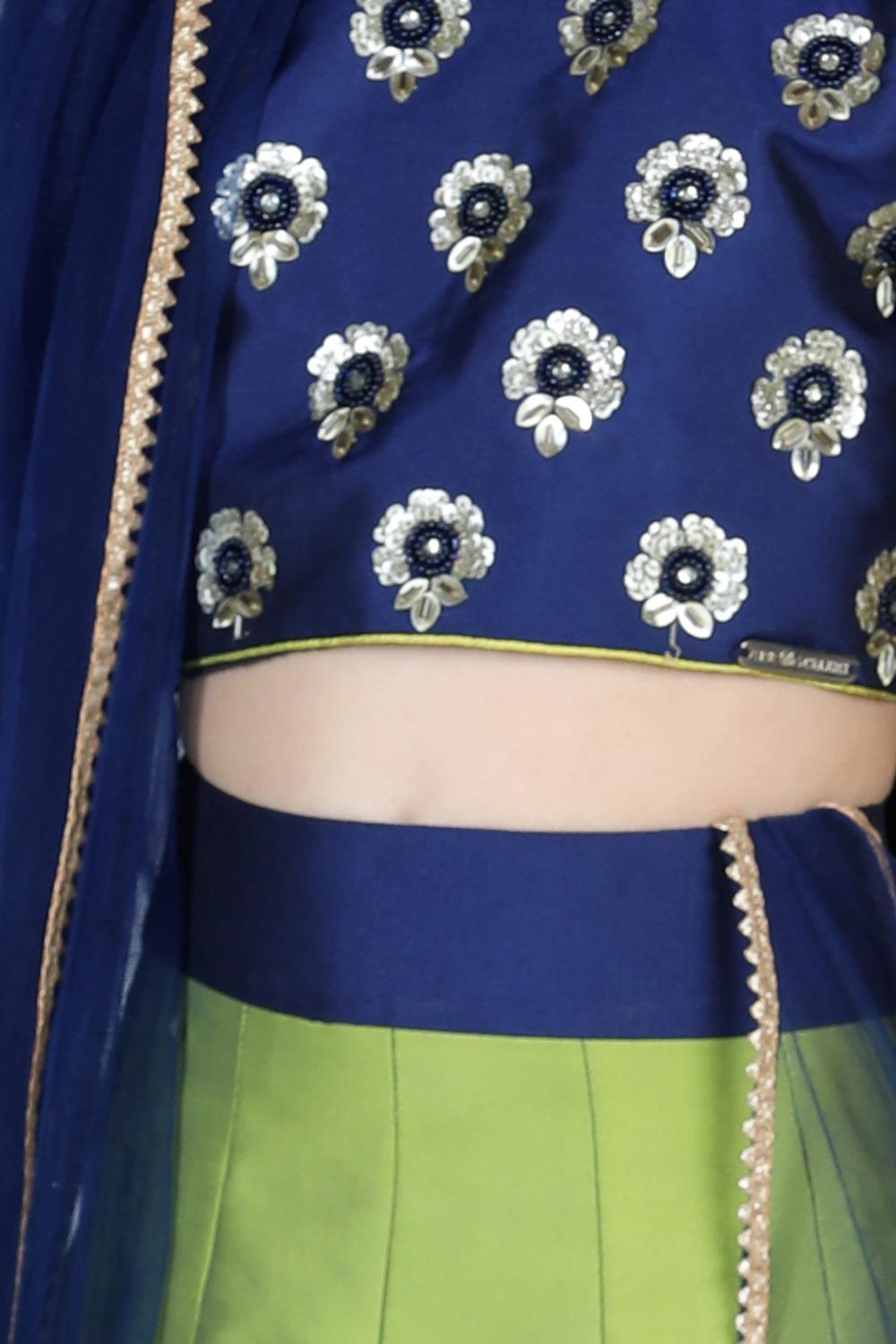 Embriodered Choli With Multi Colour Lehenga