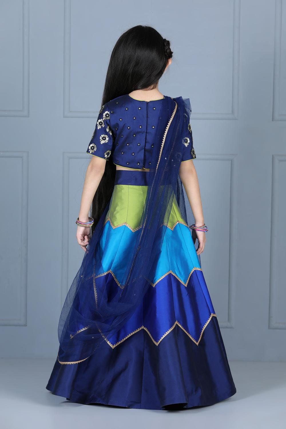 Embriodered Choli With Multi Colour Lehenga