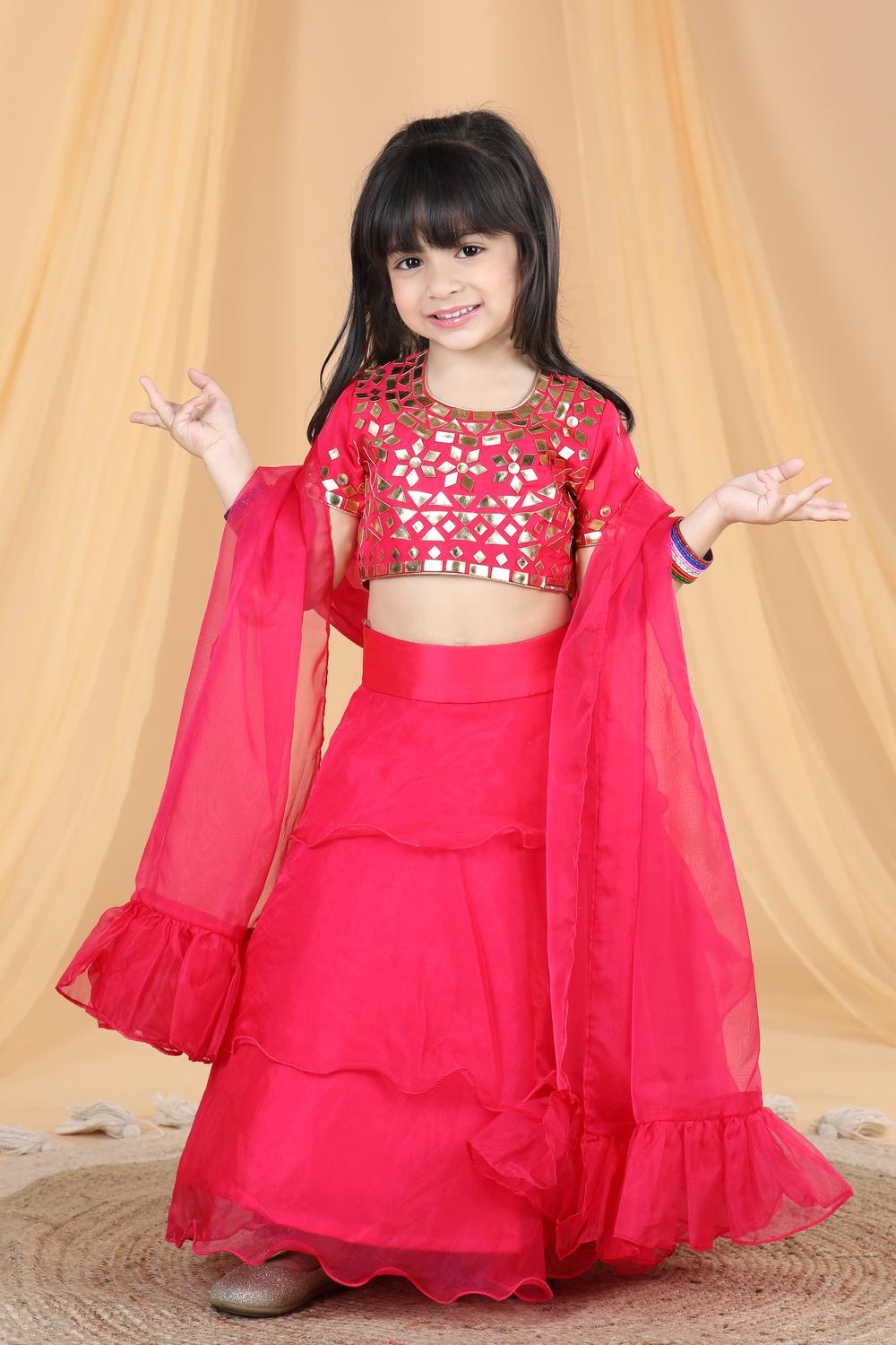 Organza Lehenga With Leather Patching