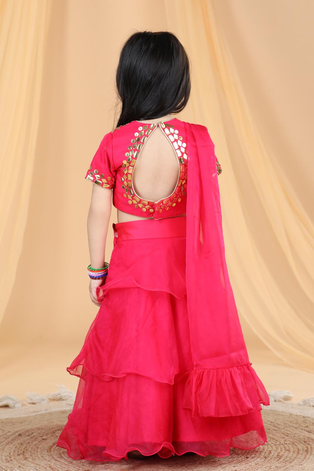 Organza Lehenga With Leather Patching