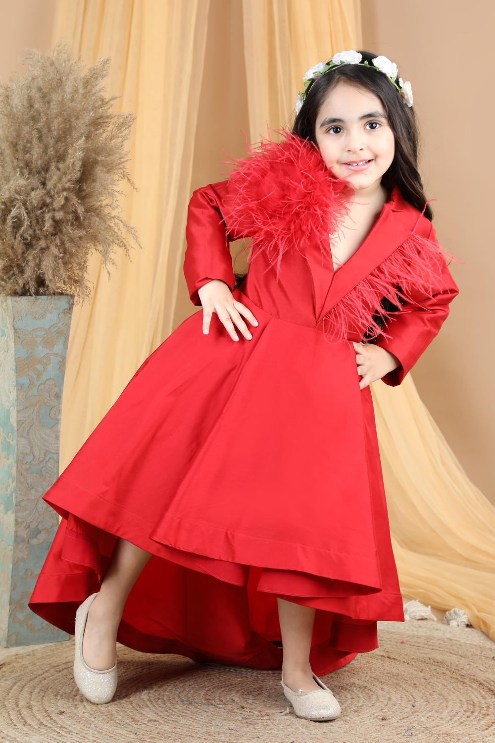 Victorian Dress With Fur