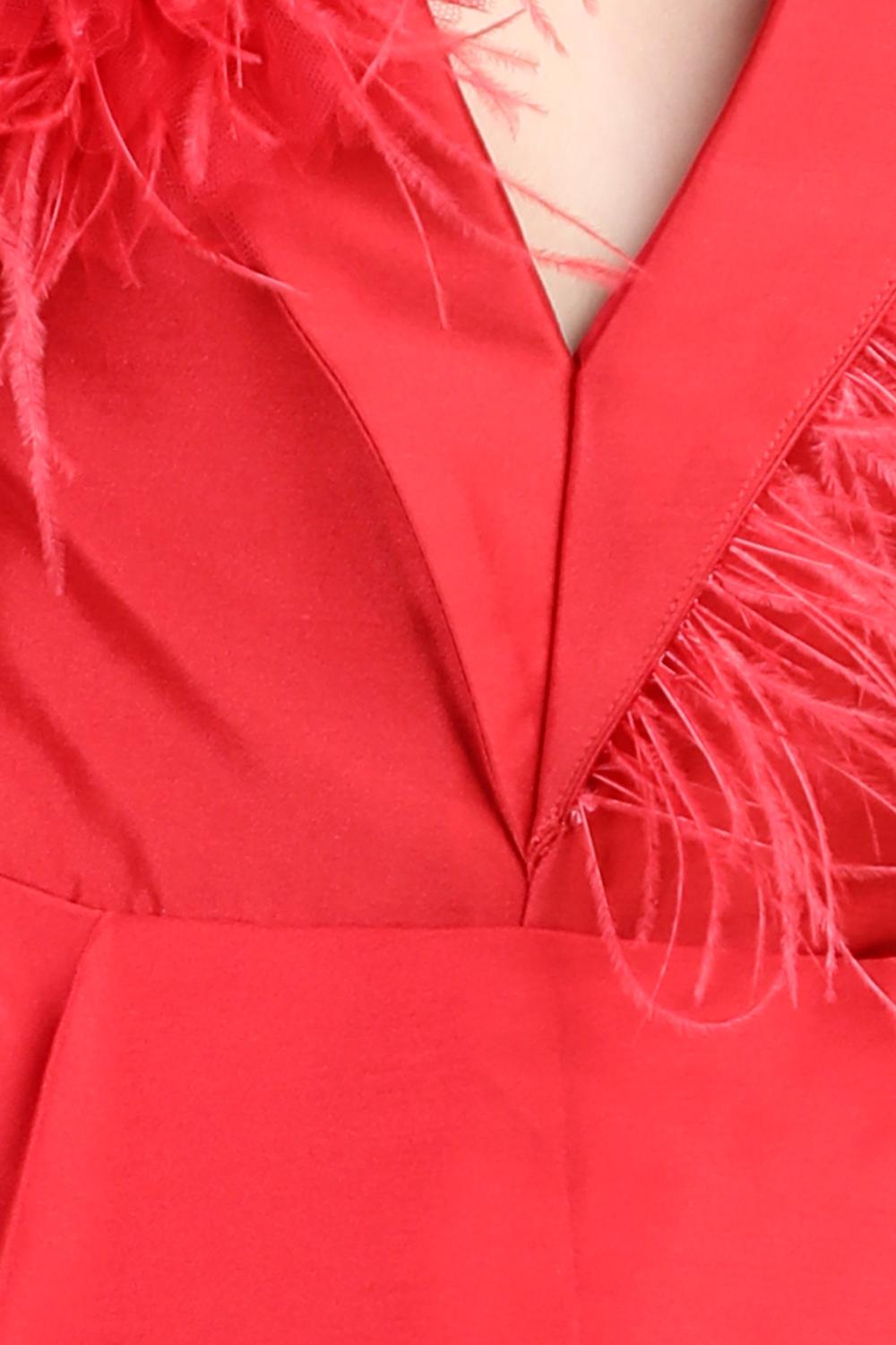 Victorian Dress With Fur