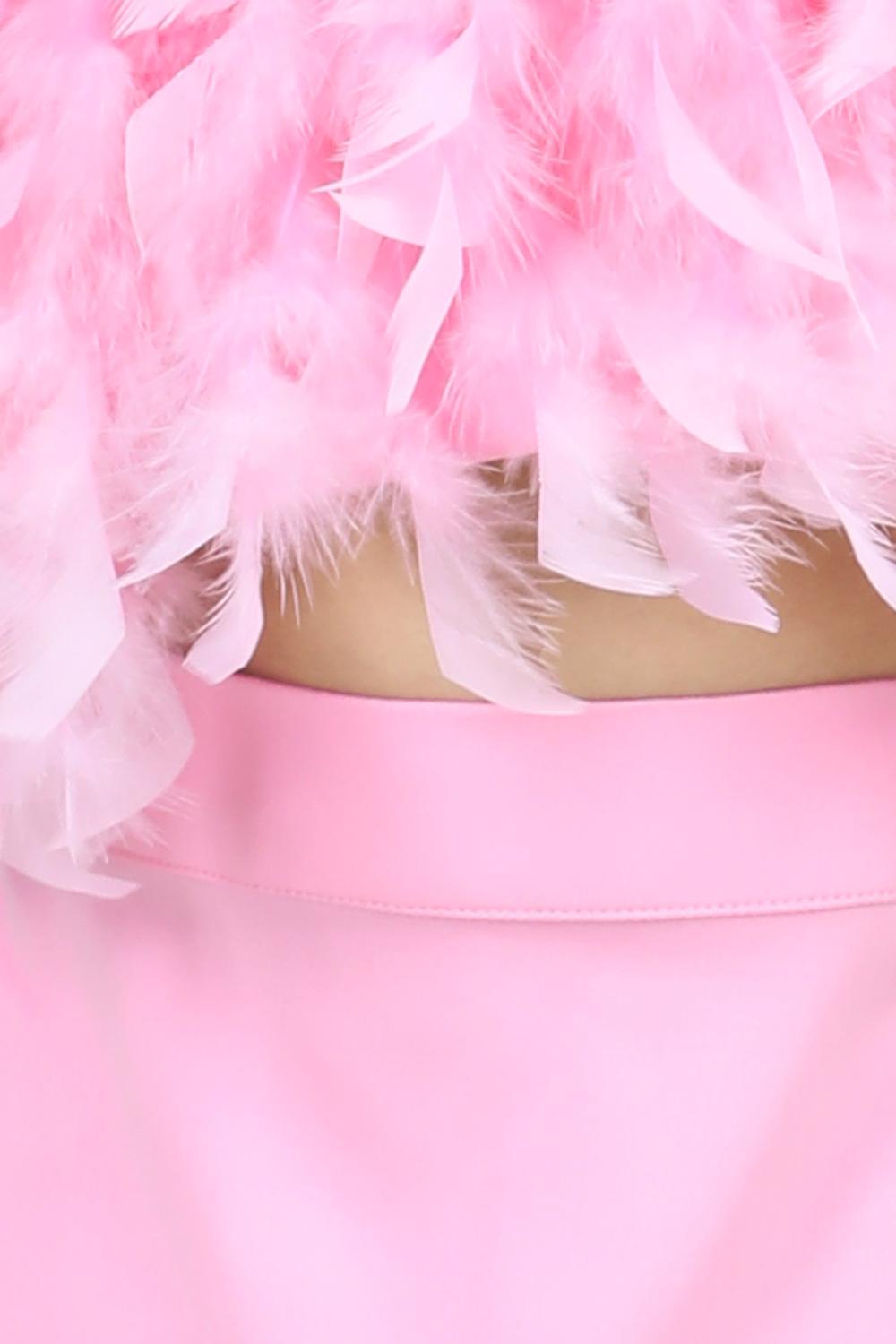 Feather Top And Skirt