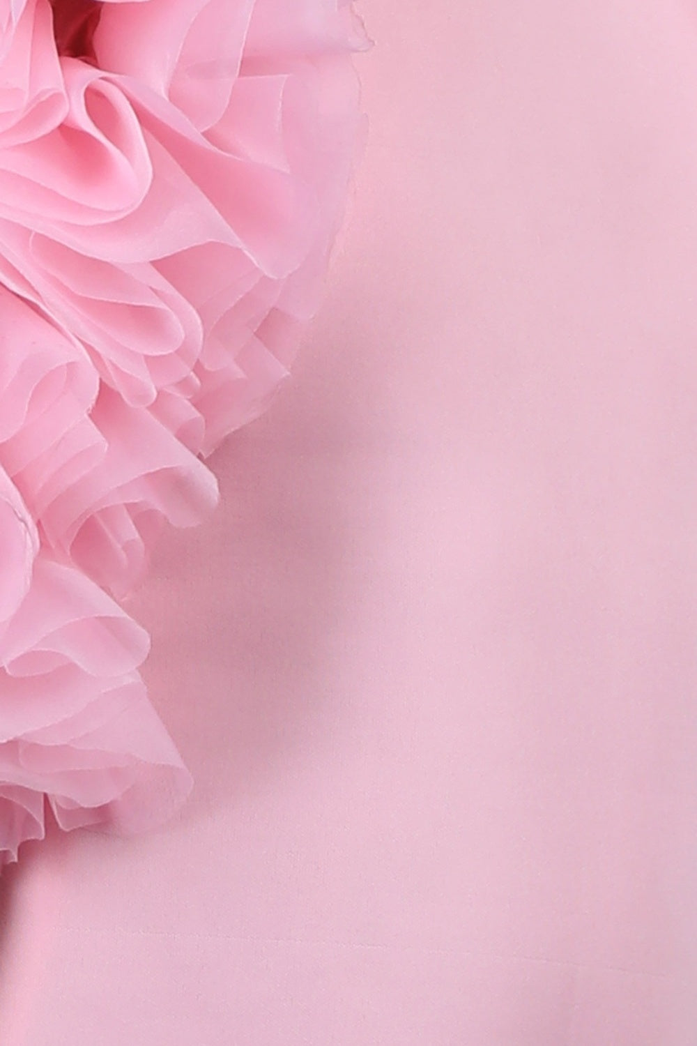 Straight Dress Embellisdhed With Bunch Of 3D Fabric Flowers In Sleeves