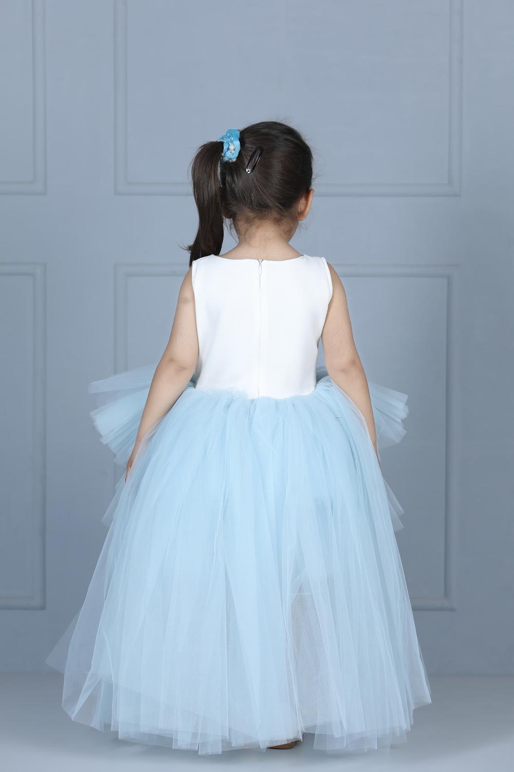 Elsa Dress With Net Flare